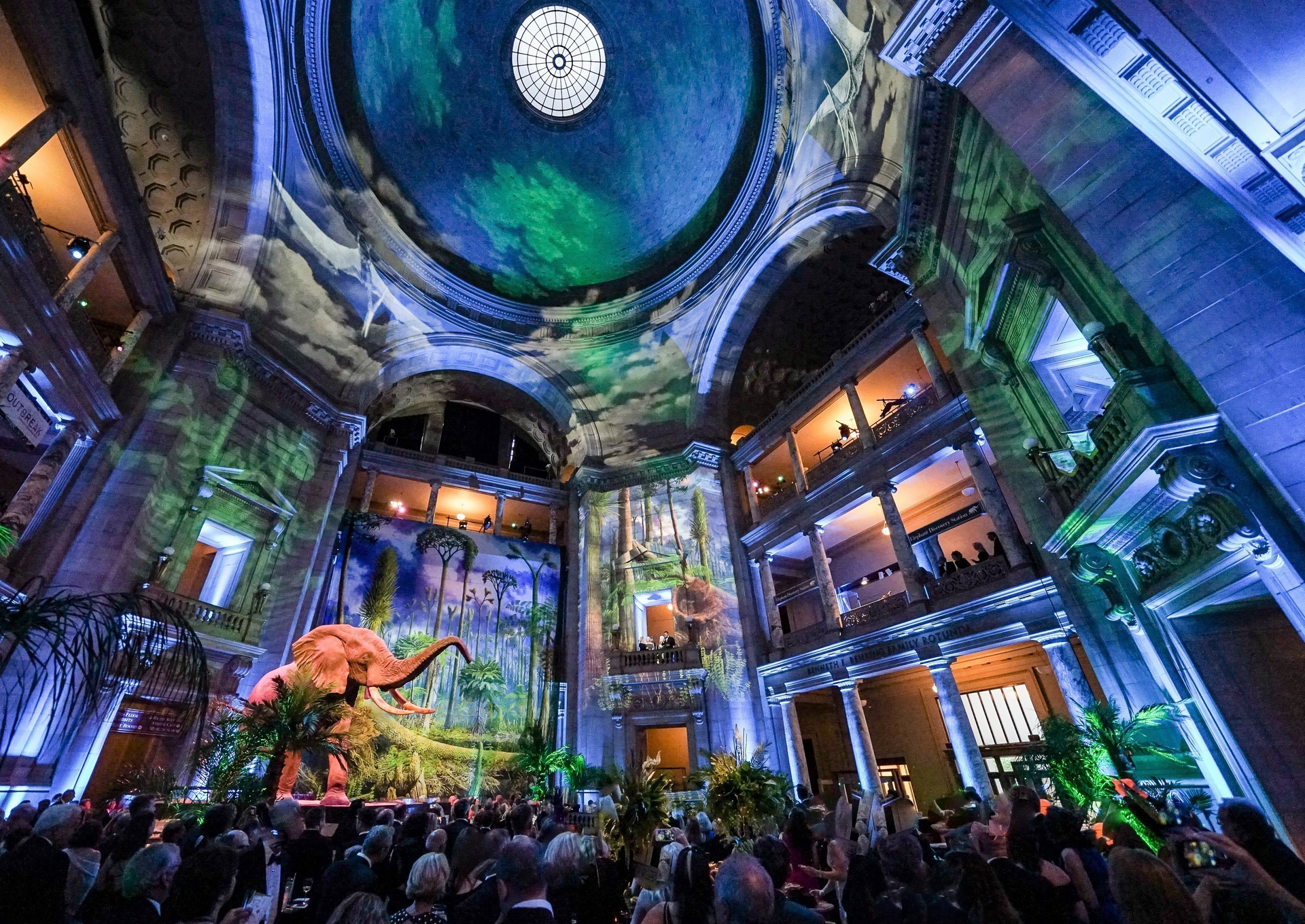 Smithsonian National Museum of Natural History